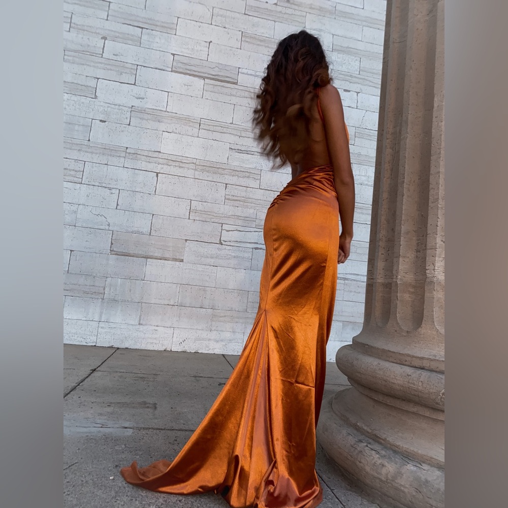 Prom Dress - Picture 3 of 6